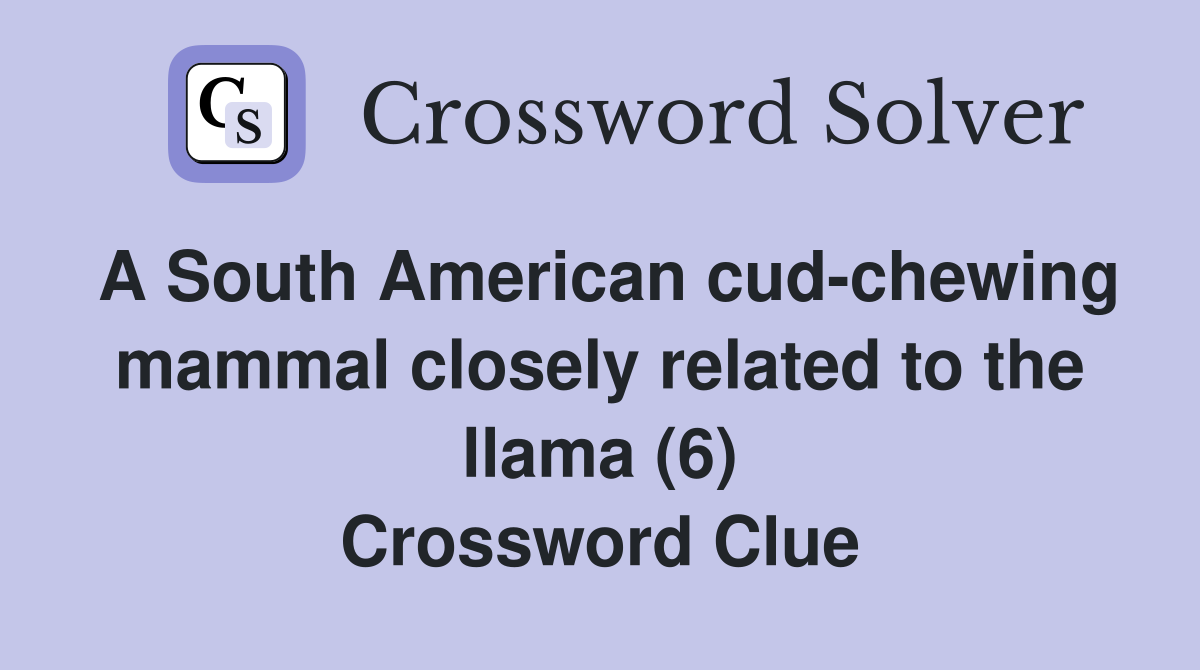 A South American cud-chewing mammal closely related to the llama (6